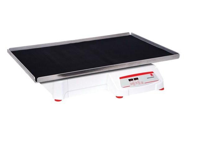 美國奧豪斯，OHAUS，脫色搖床，回旋振蕩器，圓周振蕩器，大負(fù)載圓周式搖床，SHHD6825DG