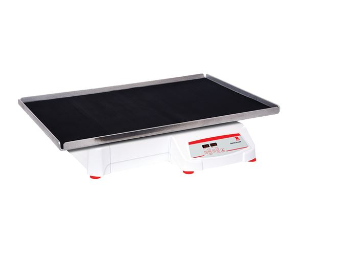 美國奧豪斯，OHAUS，脫色搖床，回旋振蕩器，圓周振蕩器，大負(fù)載圓周式搖床，SHHD6850DG