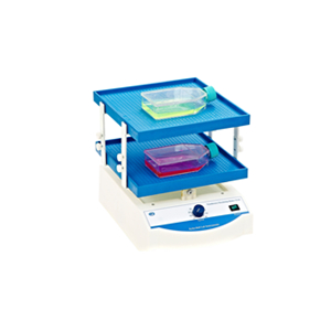 其林貝爾TS-8S(雙層)轉(zhuǎn)移脫色搖床搖床新款雙層實驗室搖床振蕩器混勻儀振蕩混勻臺式小型