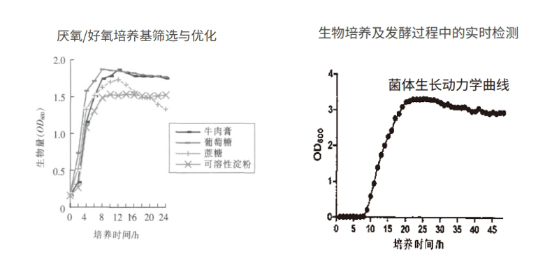 過程安全，結(jié)果精準(zhǔn)